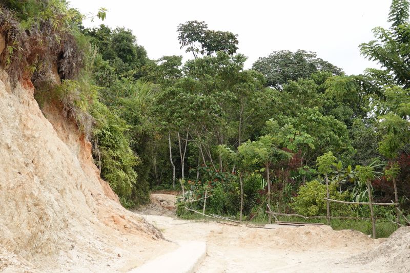 Viewing photos→2022→2022-07-26→006