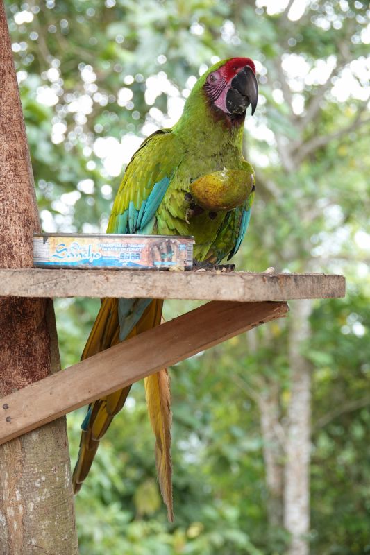 Viewing photos→2022→2022-07-26→008