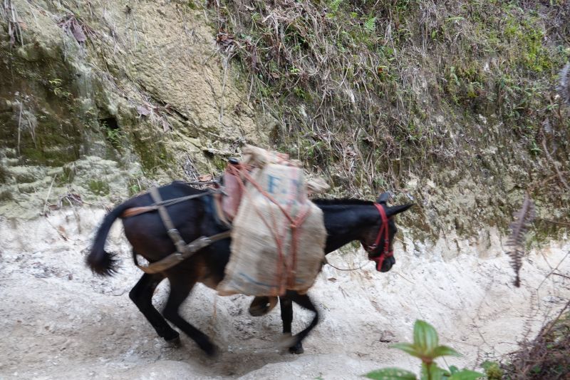 Viewing photos→2022→2022-07-26→023