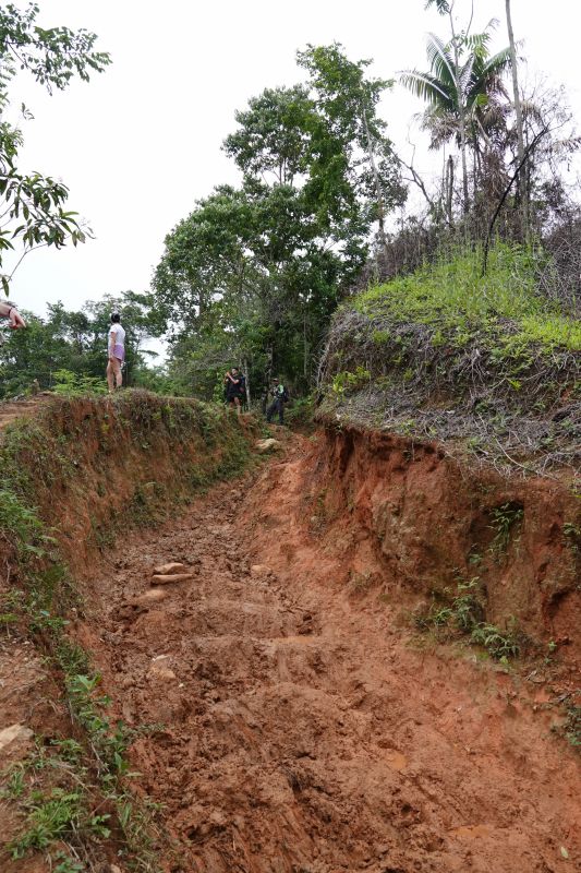 Viewing photos→2022→2022-07-26→026