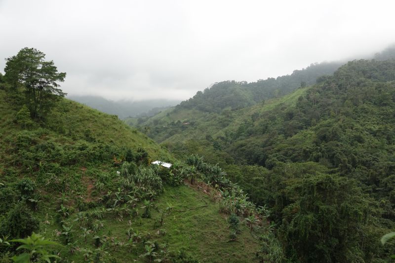 Viewing photos→2022→2022-07-26→029