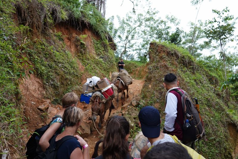 Viewing photos→2022→2022-07-26→030