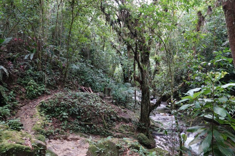 Viewing photos→2022→2022-07-26→032