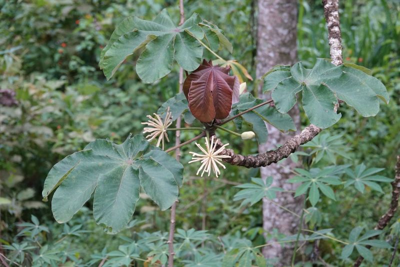 Viewing photos→2022→2022-07-26→034