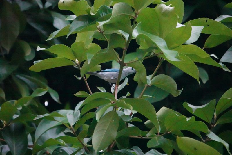 Viewing photos→2022→2022-07-26→036