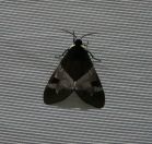 038.jpeg - 2022:07:27 01:20:22