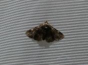 039.jpeg - 2022:07:27 01:20:34