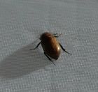 040.jpeg - 2022:07:27 01:20:43