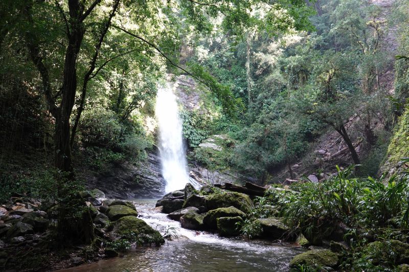 Viewing photos→2022→2022-07-26→053