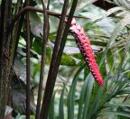 057.jpeg - 2022:07:27 14:35:19