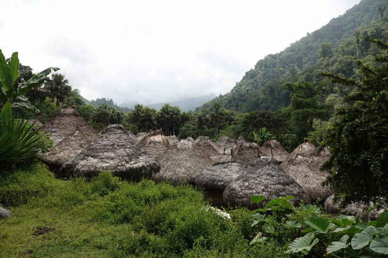 Viewing photos→2022→2022-07-26→063