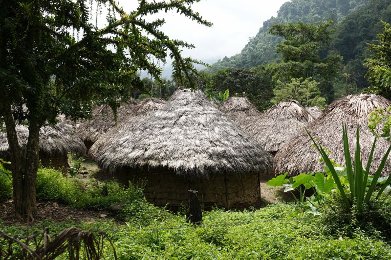 Viewing photos→2022→2022-07-26→064