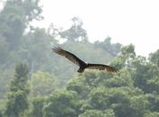 072.jpeg - 2022:07:27 16:31:10