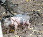 079.jpeg - 2022:07:27 18:48:38