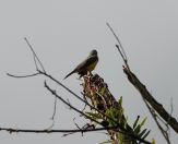 128.jpeg - 2022:07:28 13:00:23