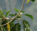 144.jpeg - 2022:07:28 13:27:58