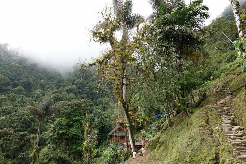 Viewing photos→2022→2022-07-26→155