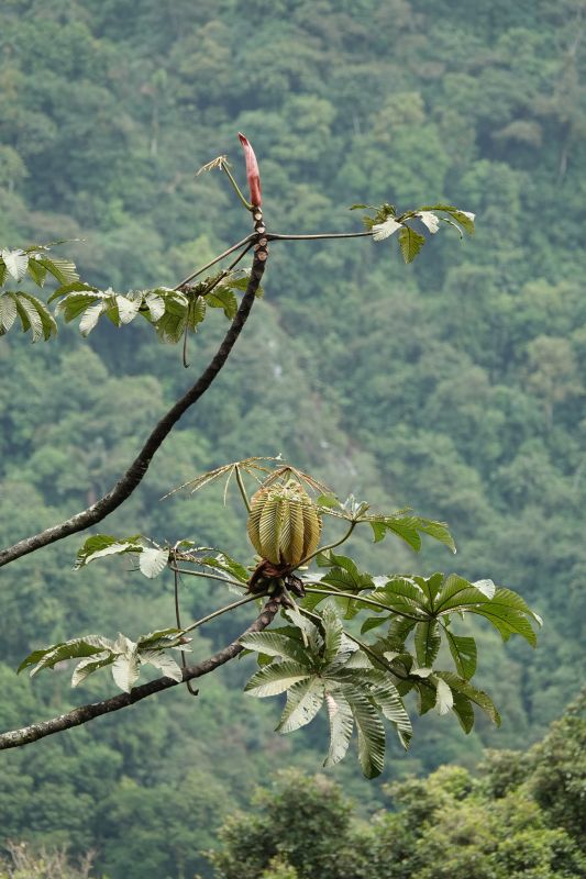 Viewing photos→2022→2022-07-26→160