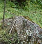 163.jpeg - 2022:07:28 15:02:15