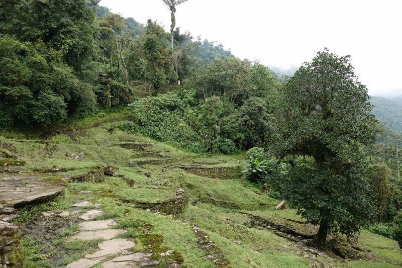 Viewing photos→2022→2022-07-26→172