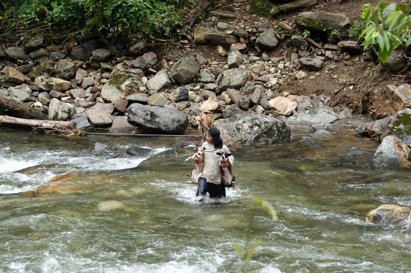 Viewing photos→2022→2022-07-26→175