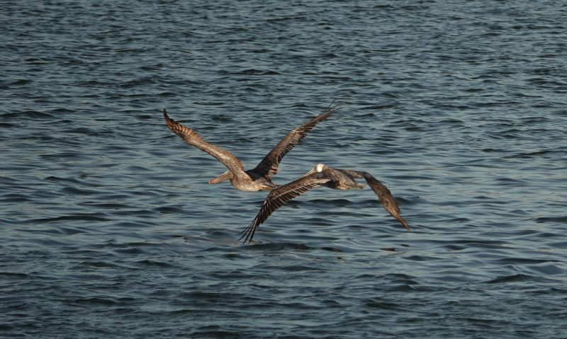 Viewing photos→2022→2022-07-30→06