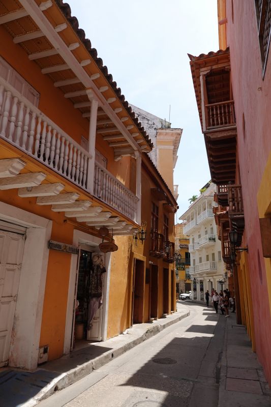 Viewing photos→2022→2022-07-30→25