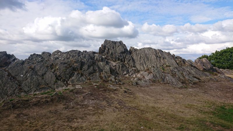 Viewing photos→2022→2022-09-24→05