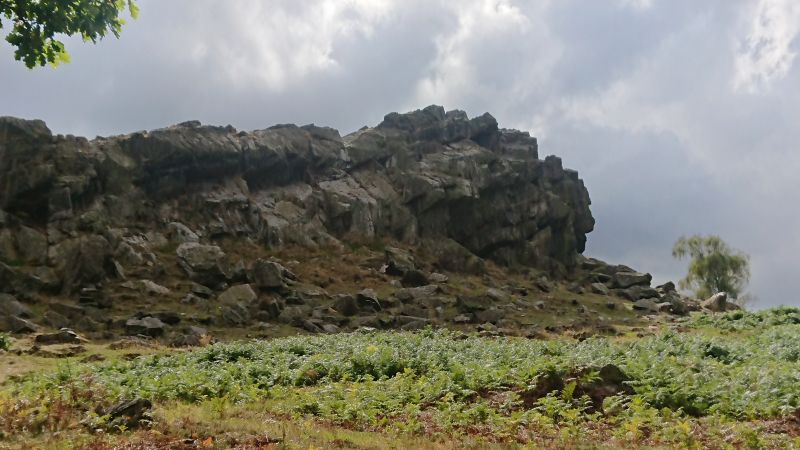 Viewing photos→2022→2022-09-24→09