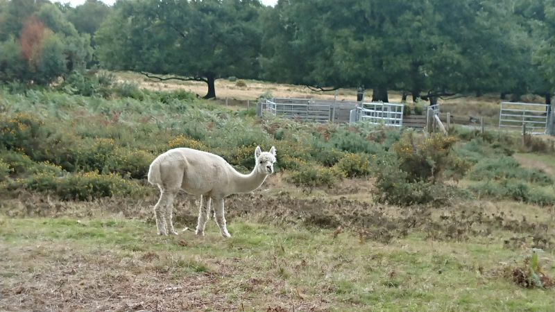 Viewing photos→2022→2022-09-24→11