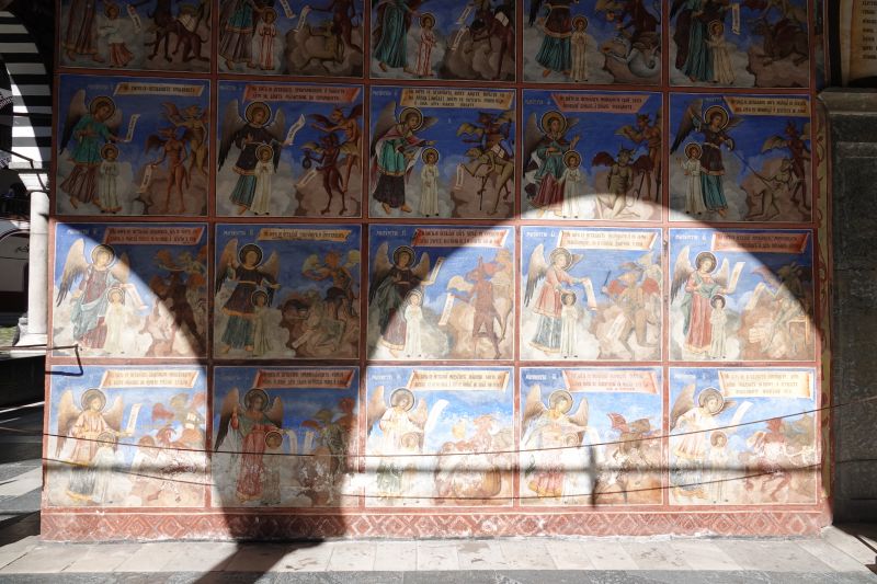 Viewing photos→2022→2022-10-19→08