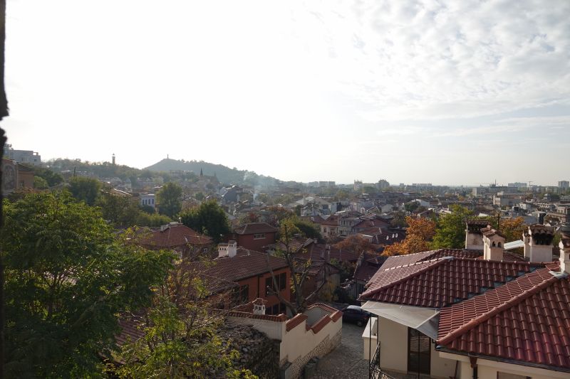 Viewing photos→2022→2022-10-22→04