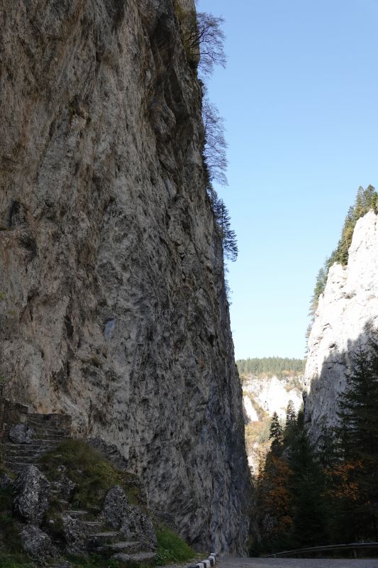 Viewing photos→2022→2022-10-24→04