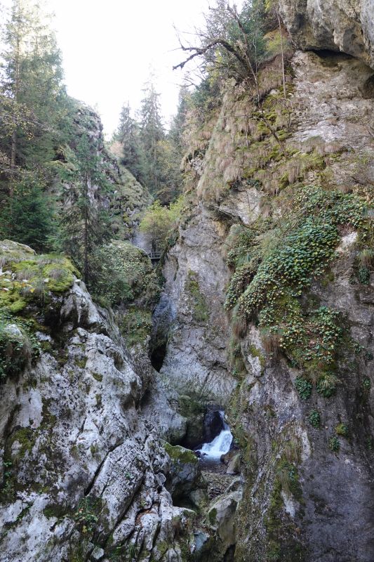 Viewing photos→2022→2022-10-24→11