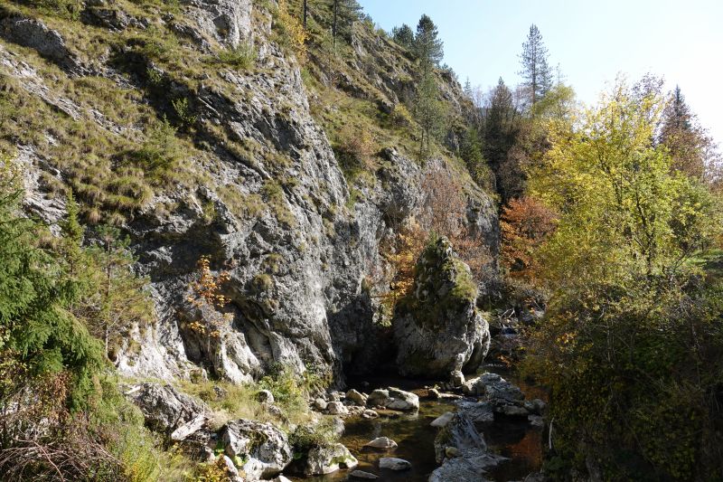 Viewing photos→2022→2022-10-24→14