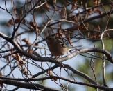 06.jpeg - 2022:10:25 07:58:07