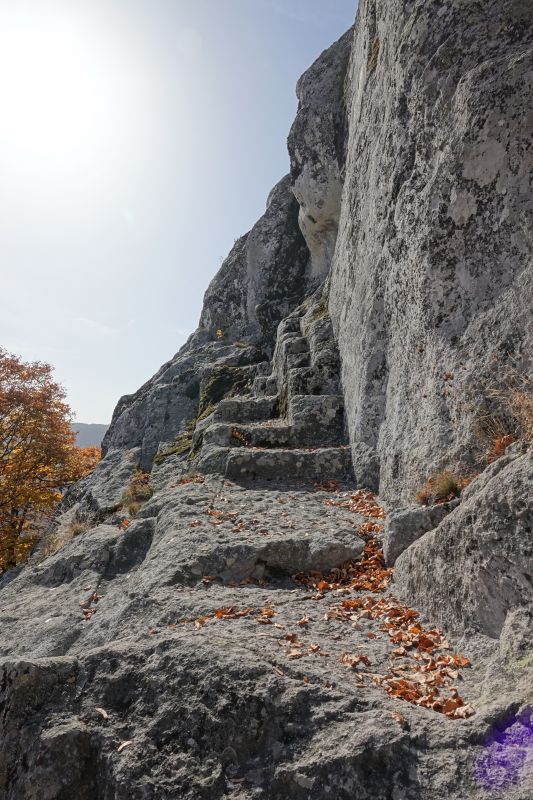 Viewing photos→2022→2022-10-25→08