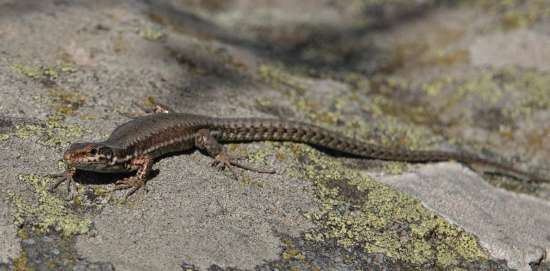 Viewing photos→2022→2022-10-25→11