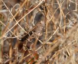 16.jpeg - 2022:10:25 08:38:31