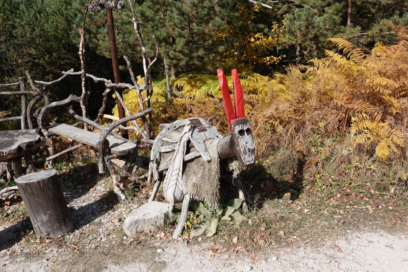 Viewing photos→2022→2022-10-25→18