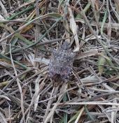 27.jpeg - 2022:10:25 13:45:30