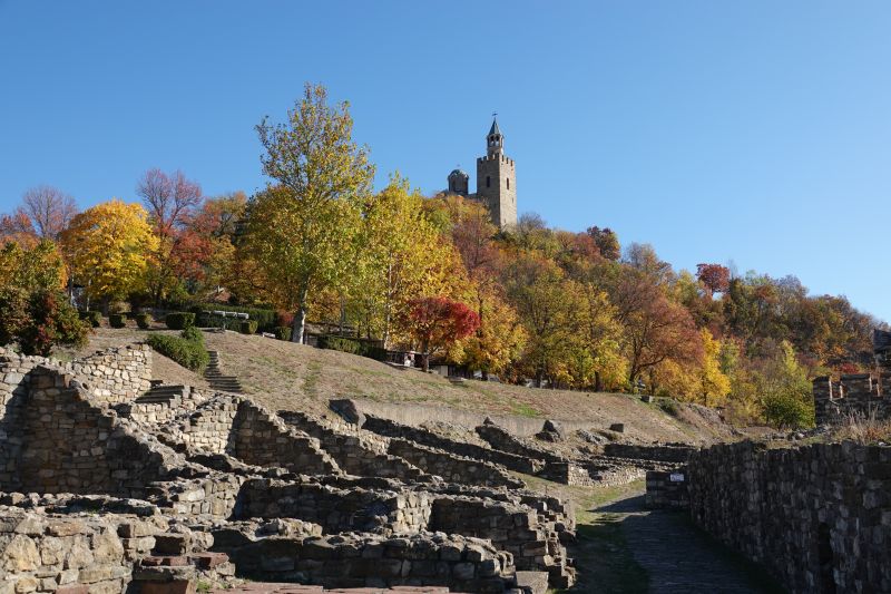 Viewing photos→2022→2022-10-26→06