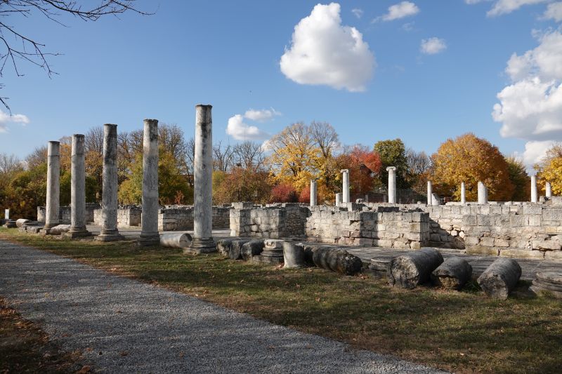 Viewing photos→2022→2022-10-26→21