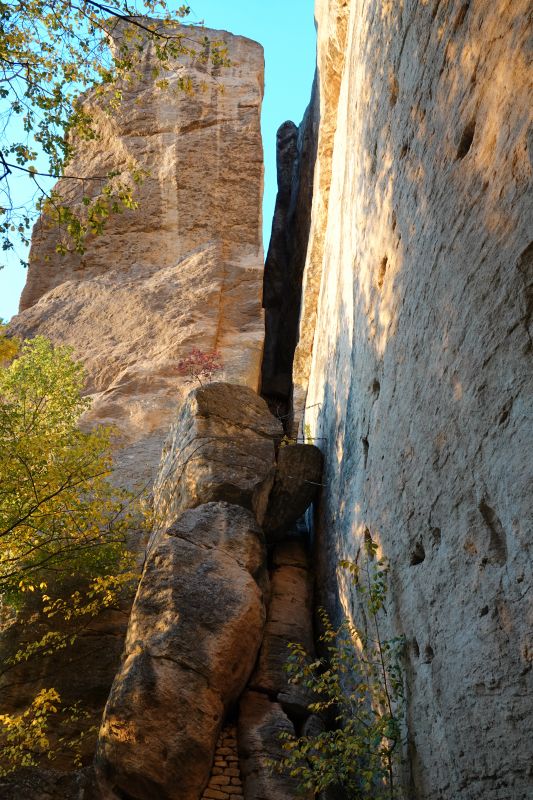 Viewing photos→2022→2022-10-26→30