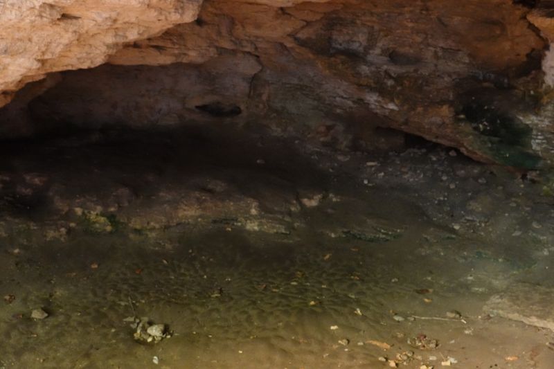 Viewing photos→2022→2022-10-26→31