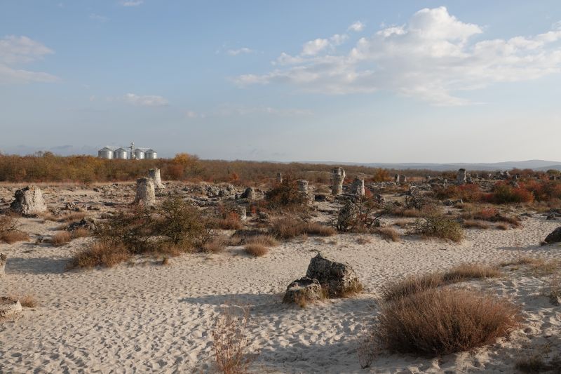 Viewing photos→2022→2022-10-27→15