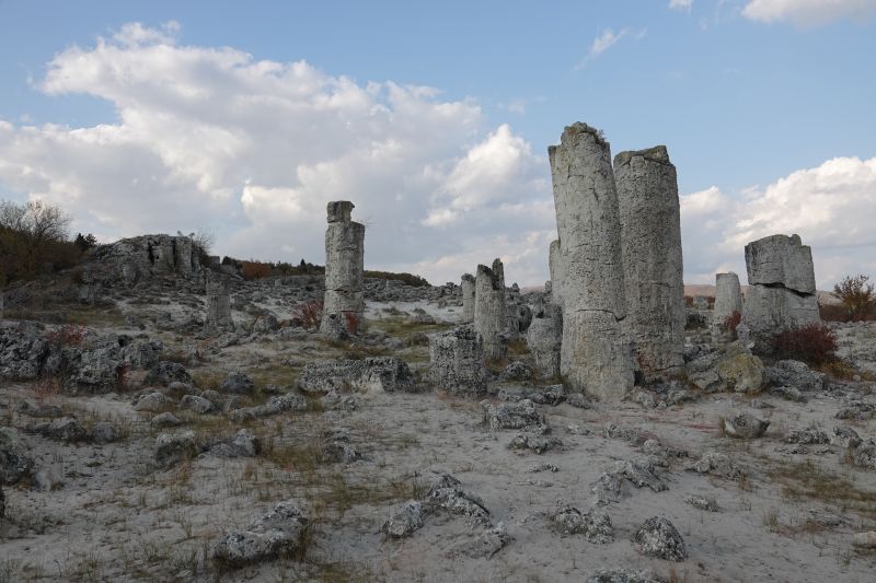 Viewing photos→2022→2022-10-27→21