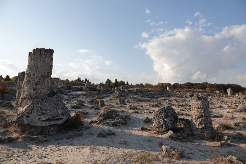 Viewing photos→2022→2022-10-27→26