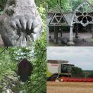 2023-08-06<br/>
<b>Deep Forest Art Land</b>
