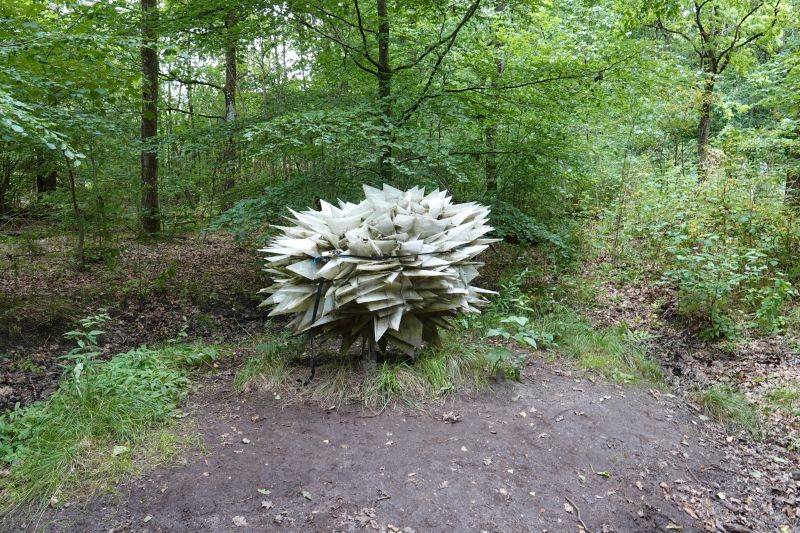 Viewing photos→2023→2023-08-06→03